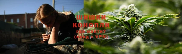 крисы Надым
