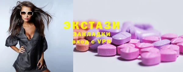 крисы Надым