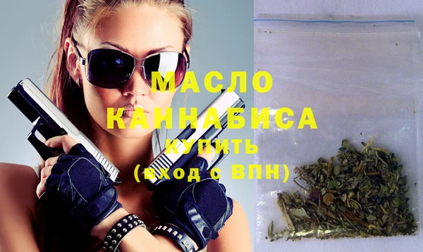 крисы Надым