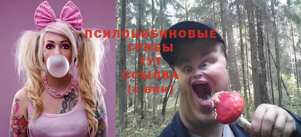 крисы Надым