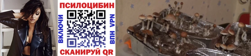 Галлюциногенные грибы Magic Shrooms Ува